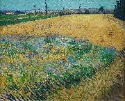 Vincent van Gogh Wheatfield unknow artist